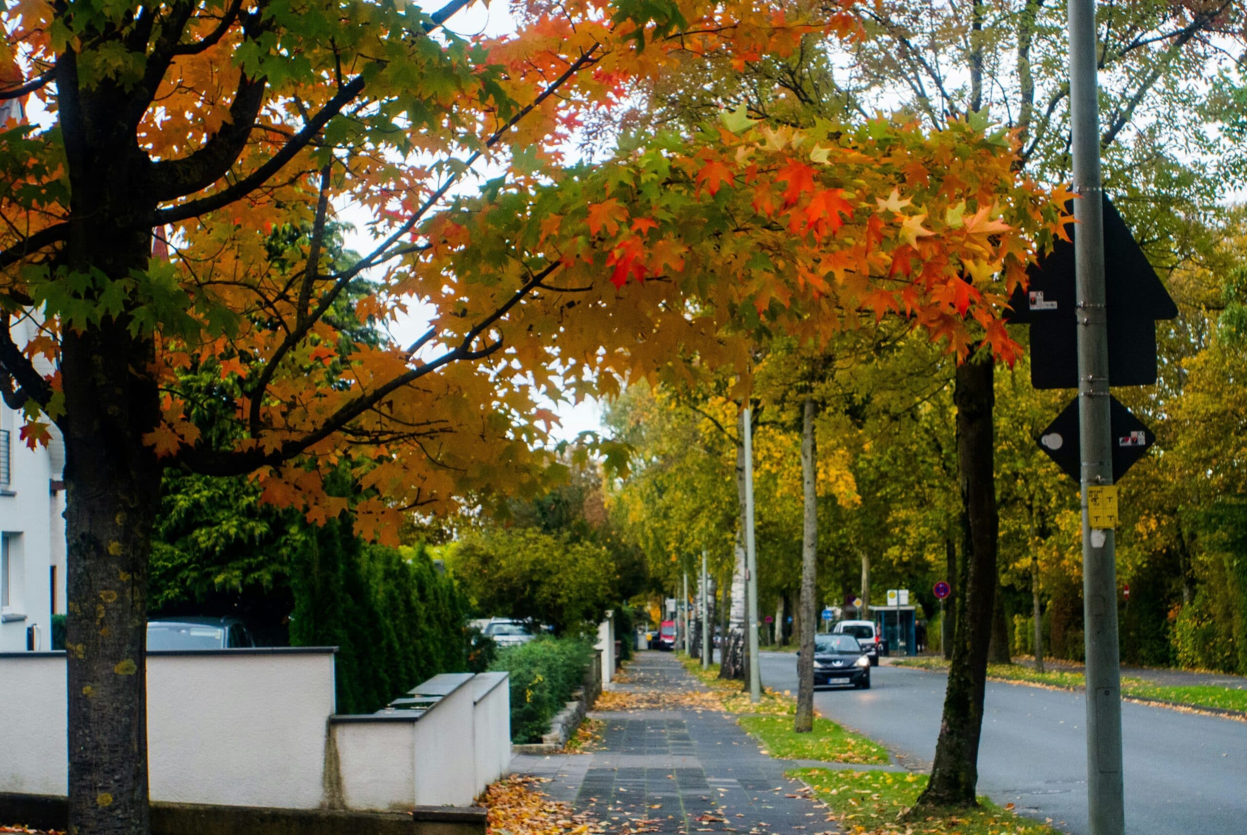 Selling Your Home in Golden Valley This Fall: What to Know